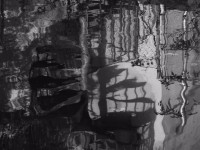 /album/annemarie-heindl/p1000983-kopie-kopie-jpg/